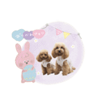 もありーな 春＆イースター（個別スタンプ：15）