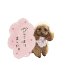 もありーな 春＆イースター（個別スタンプ：20）