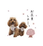 もありーな 春＆イースター（個別スタンプ：33）