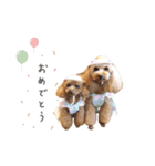 もありーな 春＆イースター（個別スタンプ：34）