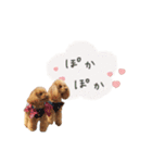 もありーな 春＆イースター（個別スタンプ：37）