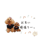 もありーな 春＆イースター（個別スタンプ：39）