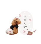 もありーな 春＆イースター（個別スタンプ：40）