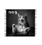 関西弁猫のリアクションスタンプ（個別スタンプ：1）