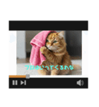 関西弁猫のリアクションスタンプ（個別スタンプ：5）