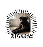 関西弁猫のリアクションスタンプ（個別スタンプ：6）