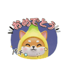 バナ柴＆豆柴3兄弟からお返事します。（個別スタンプ：3）