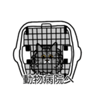 猫あるある（サバ猫／長毛）（個別スタンプ：8）