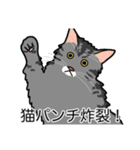 猫あるある（サバ猫／長毛）（個別スタンプ：17）