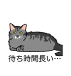 猫あるある（サバ猫／長毛）（個別スタンプ：22）