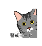 猫あるある（サバ猫／長毛）（個別スタンプ：23）