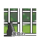 猫あるある（サバ猫／長毛）（個別スタンプ：40）