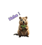 愛らしいクオッカ3(英語)（個別スタンプ：2）