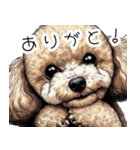 人間みたいなトイプードル（個別スタンプ：1）