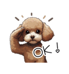 人間みたいなトイプードル（個別スタンプ：3）