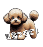 人間みたいなトイプードル（個別スタンプ：12）