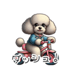 人間みたいなトイプードル（個別スタンプ：21）