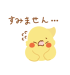 ☆毎日使える☆会話に添える まあるい鳥達3（個別スタンプ：17）