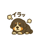 バーニーズマウンテンドッグです！（個別スタンプ：5）