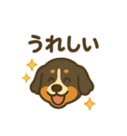 バーニーズマウンテンドッグです！（個別スタンプ：6）