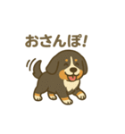 バーニーズマウンテンドッグです！（個別スタンプ：7）