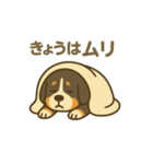 バーニーズマウンテンドッグです！（個別スタンプ：13）