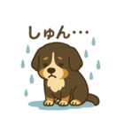 バーニーズマウンテンドッグです！（個別スタンプ：16）