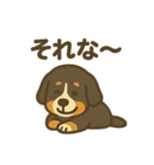 バーニーズマウンテンドッグです！（個別スタンプ：18）