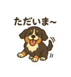 バーニーズマウンテンドッグです！（個別スタンプ：19）