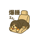 バーニーズマウンテンドッグです！（個別スタンプ：24）