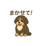 バーニーズマウンテンドッグです！（個別スタンプ：28）