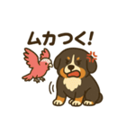 バーニーズマウンテンドッグです！（個別スタンプ：30）