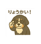 バーニーズマウンテンドッグです！（個別スタンプ：31）