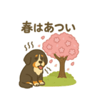 バーニーズマウンテンドッグです！（個別スタンプ：32）