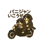 バーニーズマウンテンドッグです！（個別スタンプ：38）