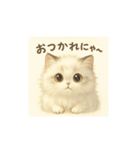 きゅるきゅるにゃんこ あいさつ（個別スタンプ：2）