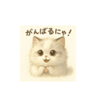 きゅるきゅるにゃんこ あいさつ（個別スタンプ：4）