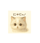 きゅるきゅるにゃんこ あいさつ（個別スタンプ：9）