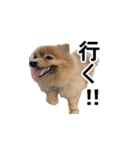 チョコムク（個別スタンプ：5）