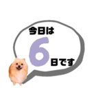 麗らか♡春♡ポメ推しスタンプ（個別スタンプ：6）