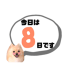 麗らか♡春♡ポメ推しスタンプ（個別スタンプ：8）