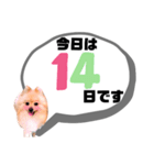 麗らか♡春♡ポメ推しスタンプ（個別スタンプ：14）