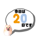 麗らか♡春♡ポメ推しスタンプ（個別スタンプ：20）