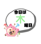 麗らか♡春♡ポメ推しスタンプ（個別スタンプ：35）