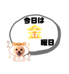 麗らか♡春♡ポメ推しスタンプ（個別スタンプ：36）