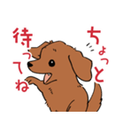 陽気なダックスフンド・レッド（個別スタンプ：20）