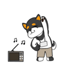 黒柴の怒り（個別スタンプ：1）
