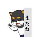 黒柴の怒り（個別スタンプ：5）