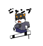 黒柴の怒り（個別スタンプ：7）