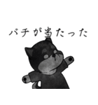 黒柴の怒り（個別スタンプ：11）